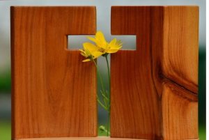 Reflexão: A Irmã Morte
