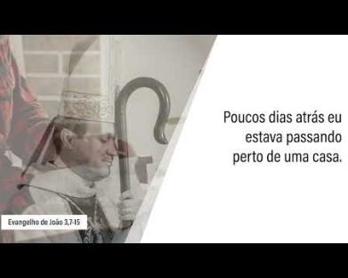 Evangelho de 29 de abril