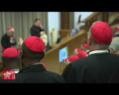 Décima Congregação Geral: os 133 cardeais eleitores já estão em Roma