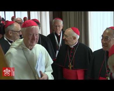 Última Congregação Geral: cardeais refletem sobre as qualidades do futuro Papa