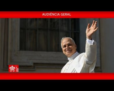 O convite de Leão XIV aos jovens: arregacem as mangas para trabalhar na vinha do Senhor!