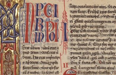 Reflexão para XII Domingo do Tempo Comum “Quem diz o povo que eu sou?”. Tu és o Cristo, Filho de Deus”.