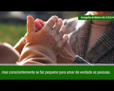 Evangelho de 12 de agosto