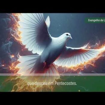 Evangelho de 23 de outubro