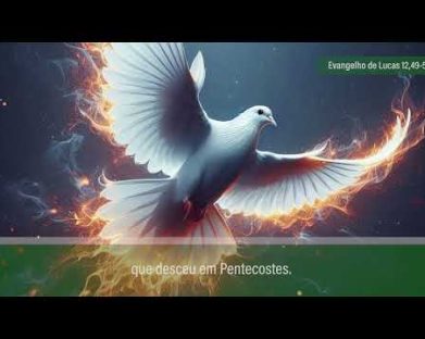 Evangelho de 23 de outubro