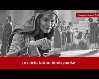 Evangelho de 24 de novembro