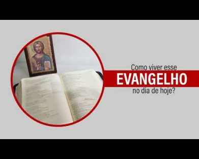 Evangelho de 12 de novembro