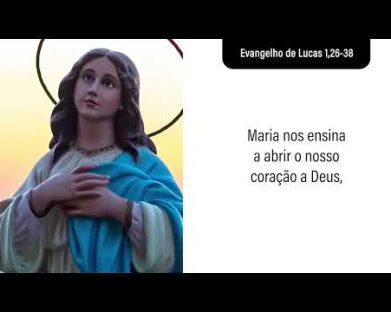 Evangelho de 8 de dezembro