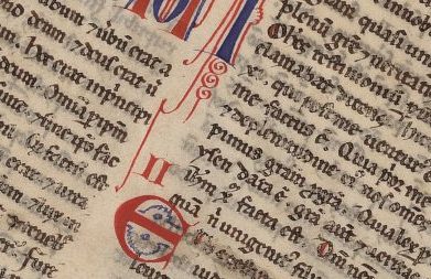 Reflexão para o 5º Domingo do Tempo Comum