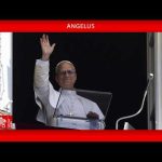 O Papa no Angelus: a fé pede-nos que abramos os olhos para as feridas do mundo