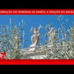 Papa: unidos aos cristãos do Oriente Médio, rezemos pelas vítimas do conflito atroz