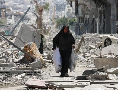 O Papa: na loucura da guerra, é importante defender a vida em todas as suas fases