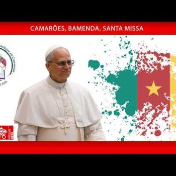 O Papa: redescobrir o caminho da vida e tornar-se construtor de paz e fraternidade