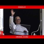 Leão XIV no Angelus: polarizações e desprezo pelas diferenças levam à destruição