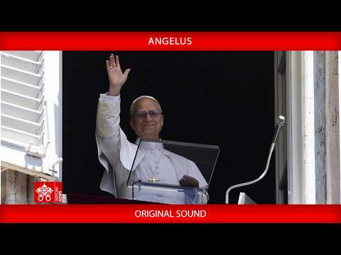 Leão XIV no Angelus: polarizações e desprezo pelas diferenças levam à destruição
