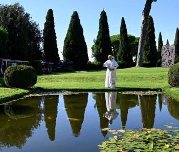 Papa convida a transformar armas que destroem em ações que cuidam da criação