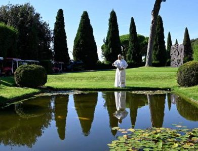 Papa convida a transformar armas que destroem em ações que cuidam da criação