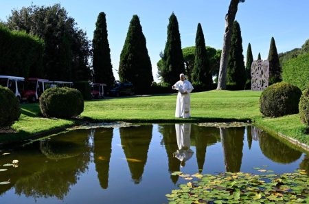 Papa convida a transformar armas que destroem em ações que cuidam da criação