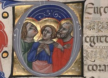 Reflexão para o XII Domingo do Tempo Comum
