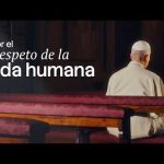 Intenção de oração de julho: Papa pede respeito pela vida humana em todas as suas etapas