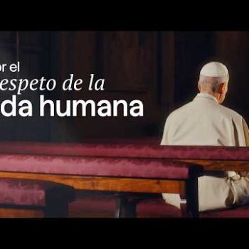 Intenção de oração de julho: Papa pede respeito pela vida humana em todas as suas etapas