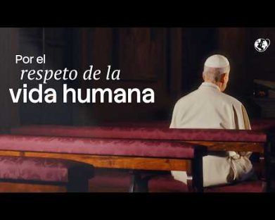 Intenção de oração de julho: Papa pede respeito pela vida humana em todas as suas etapas