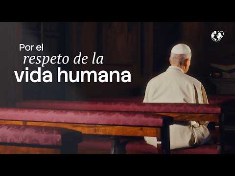 Intenção de oração de julho: Papa pede respeito pela vida humana em todas as suas etapas