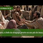 Evangelho de 6 de julho