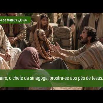 Evangelho de 6 de julho