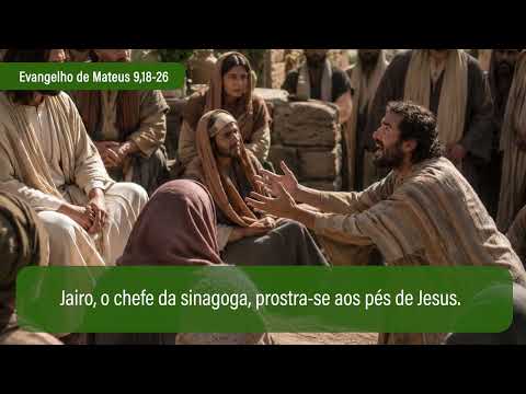Evangelho de 6 de julho