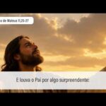 Evangelho de 15 de julho