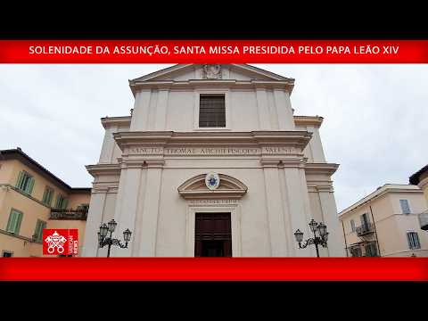 Papa: o amor é o mais belo ornamento do ser humano