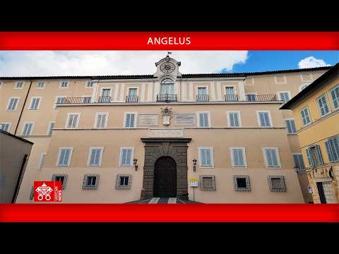 Angelus: Papa confia a Maria todos os povos necessitados de consolação