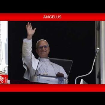 Papa no Angelus: quem é Jesus para você?