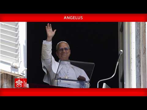 Papa no Angelus: quem é Jesus para você?
