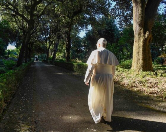 Papa: a paz começa no coração e se estende ao cuidado da criação