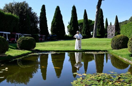 Dia da Criação, o Papa: aquilo que foi usado para destruição seja orientado para a vida