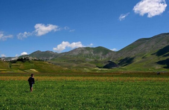 O cuidado com a Criação é uma questão teológica