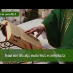 Evangelho de 16 de outubro