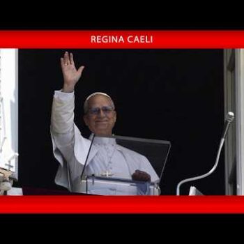 Papa recorda São Francisco: grande operário na vinha do Senhor!